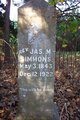 Rev James Madison Simmons