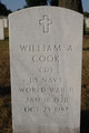  William Almklov Cook
