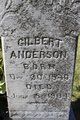  Gilbert Anderson