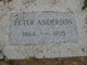  Peter Anderson