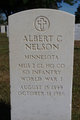  Albert C Nelson