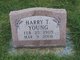  Harry Taylor Young