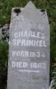  Charles Sprinkel
