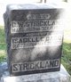  Clement Wilkins Strickland Jr.