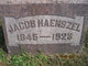  Jacob Haenszel