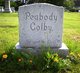 Mina Wesley <I>Peabody</I> Colby