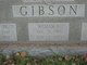  William T. Gibson