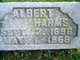  Albert Harms