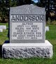  Peter Alfred Anderson