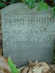  Ferdinand Hull King