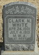  Clark M White