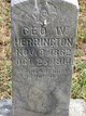  George Washington Herrington