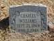  Charles Lewis Williams