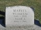  William Staten Marvel Sr.