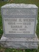  William Howard Wilson