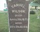  Samuel Wilson