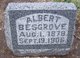  Albert Besgrove