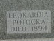  Leokardia Potocka
