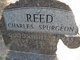  Charles Spurgeon Reed
