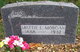  Martha E “Mattie” <I>Stipp</I> Morgan