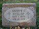  Andrew Clifton Hyslop