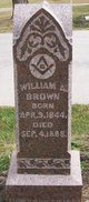  William A Brown