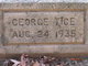  George Tice