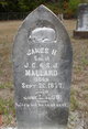  James H. Mallard