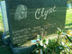  Aloysius Clyne