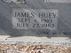  James Huey Hartzog