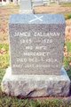  James Callahan