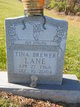 Tina Brewer Lane Photo