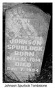  Johnson Spurlock