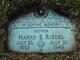  Harry Eric Riedel