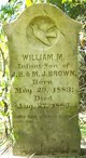  William M. Brown