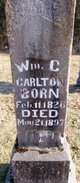  William Curtis Carlton