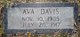  Ava Davis