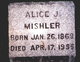  Alice J. <I>Huntington</I> Mishler