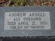  Andrew Arnold