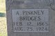  Aaron Pinkney Bridges