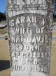  Sarah Frances Davis