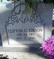 Clifton C. Gibson Photo