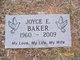  Joyce Evelyn <I>Adkins</I> Baker