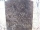  W. G. Morse
