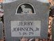  Jerry Johnson Jr.