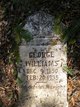  George Washington Williams