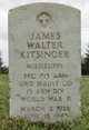  James Walter Kitsinger