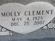 Molly "Clement" <I>Kimble</I> Shreve