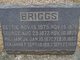  George Briggs