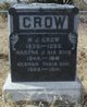  William James Crow